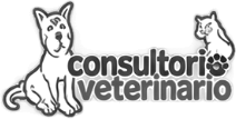 Cliente VeteFly